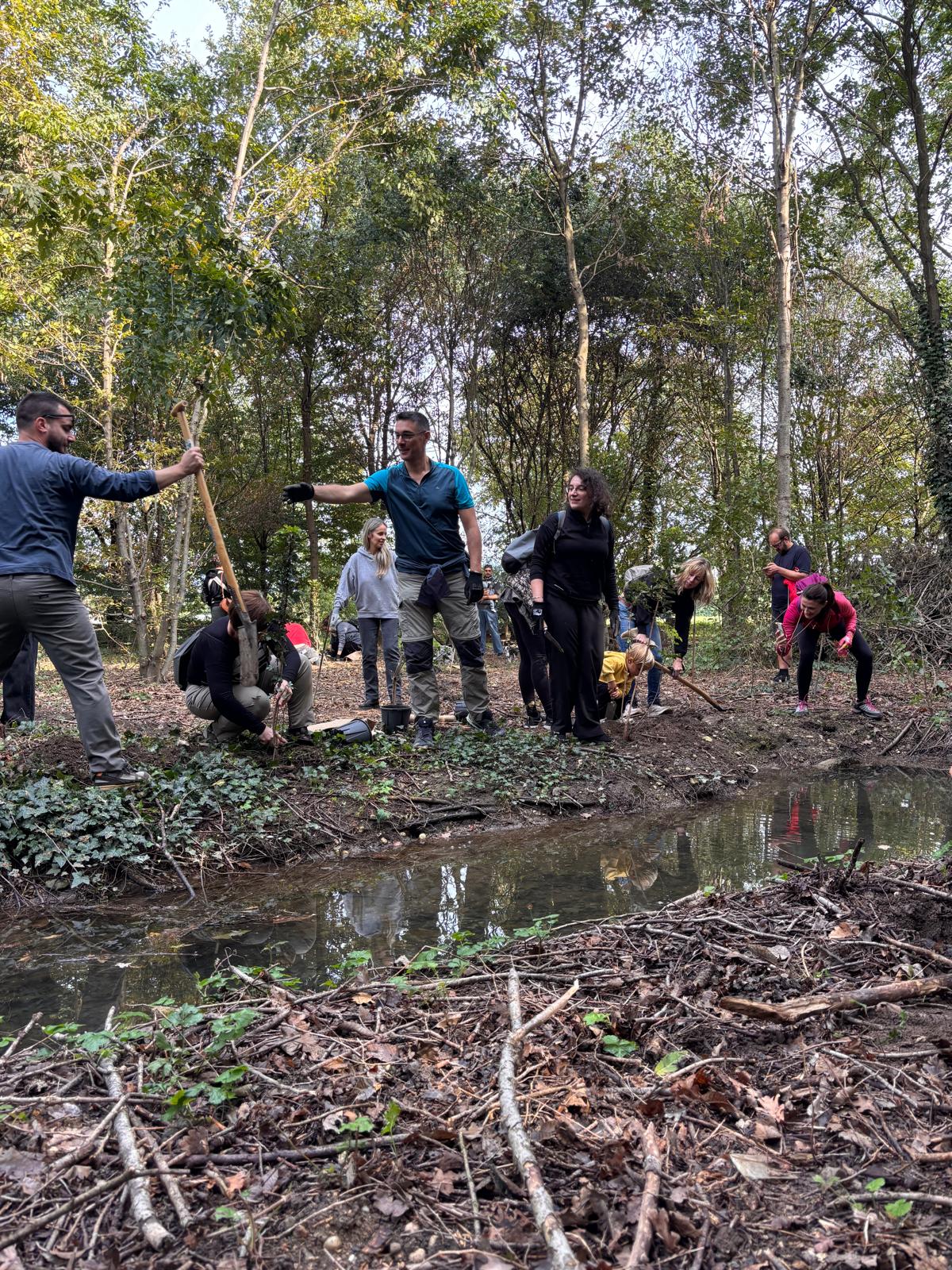 Community tree-planting activity